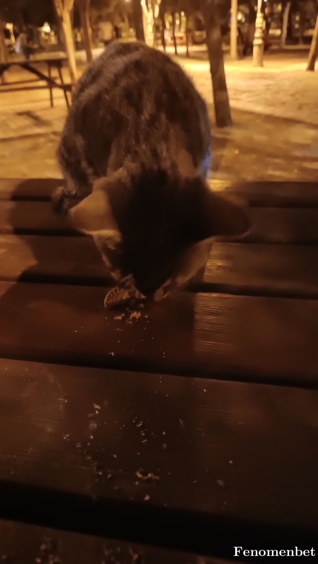 Diyarx65 tarafından paylaşıldı