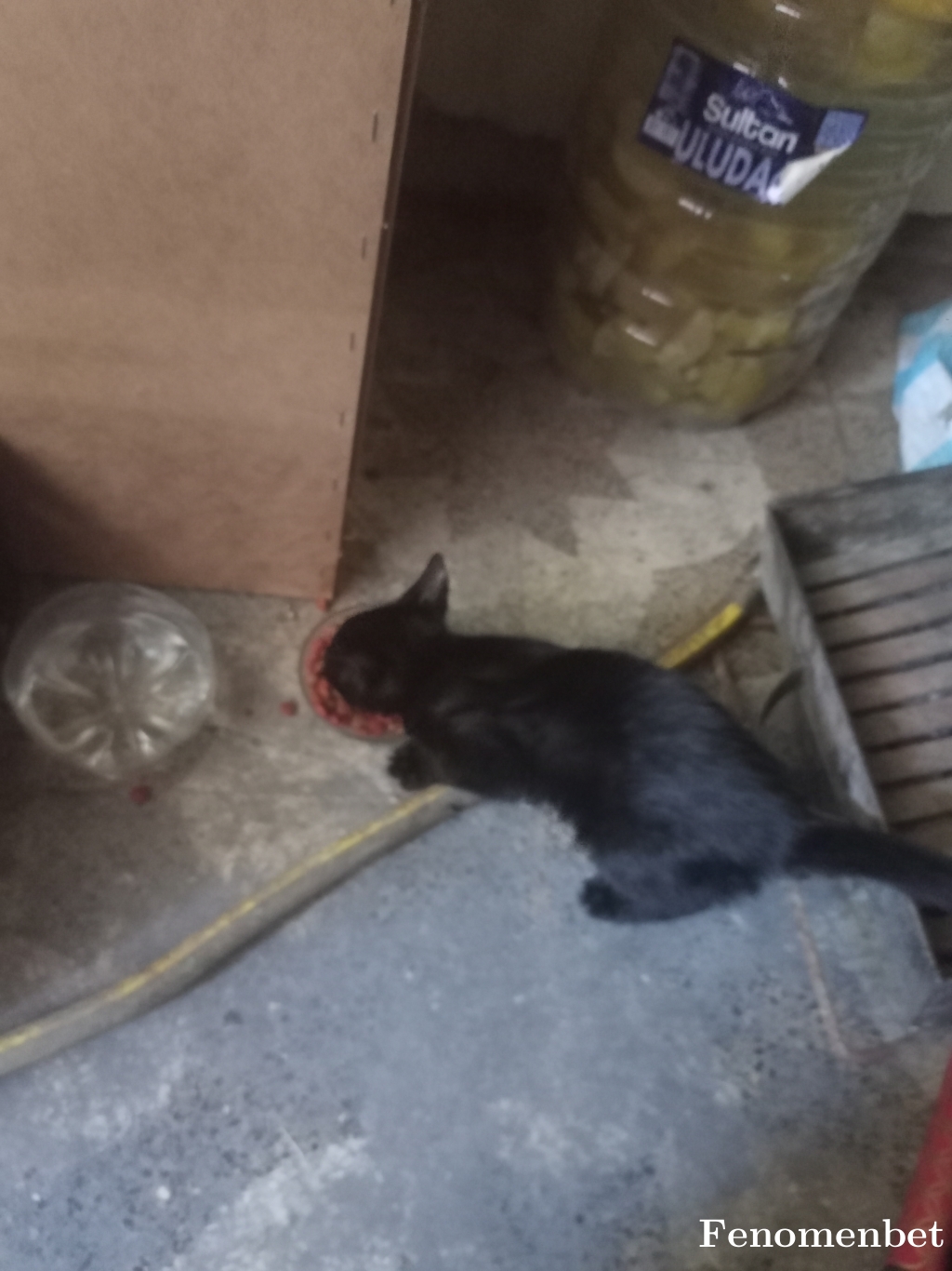 Saim001453 tarafından paylaşıldı