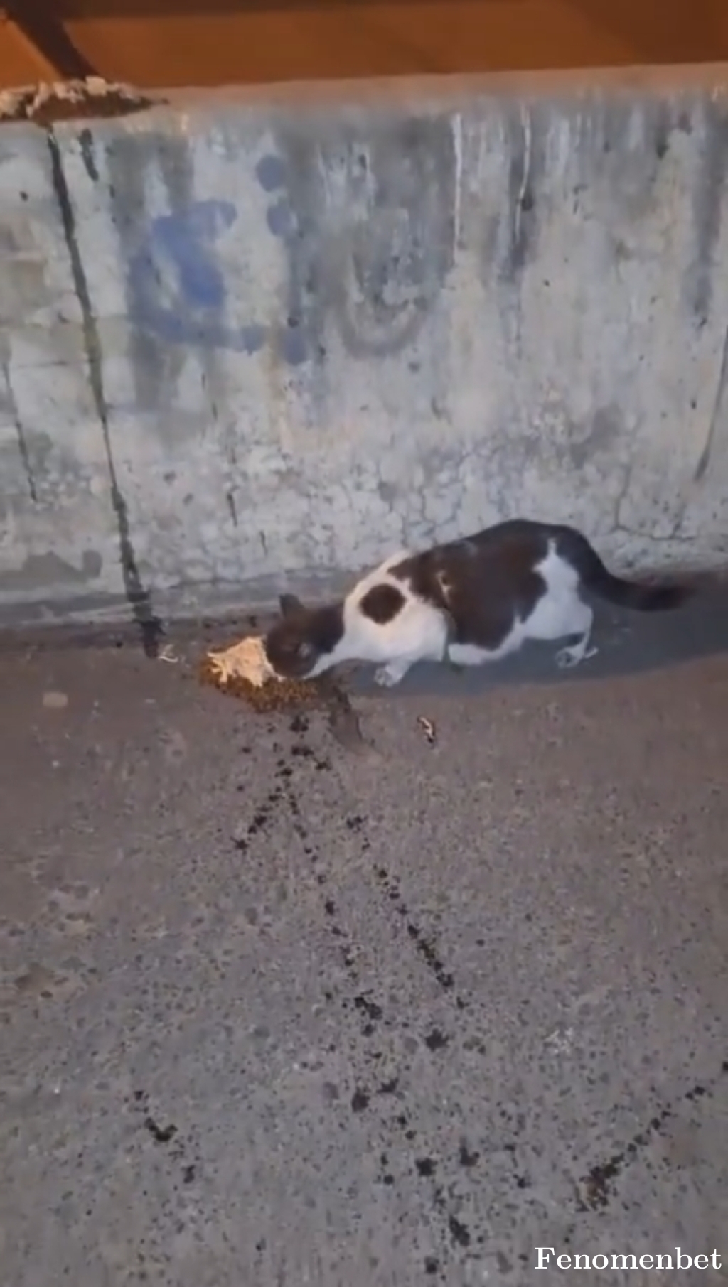 Engincanozer tarafından paylaşıldı