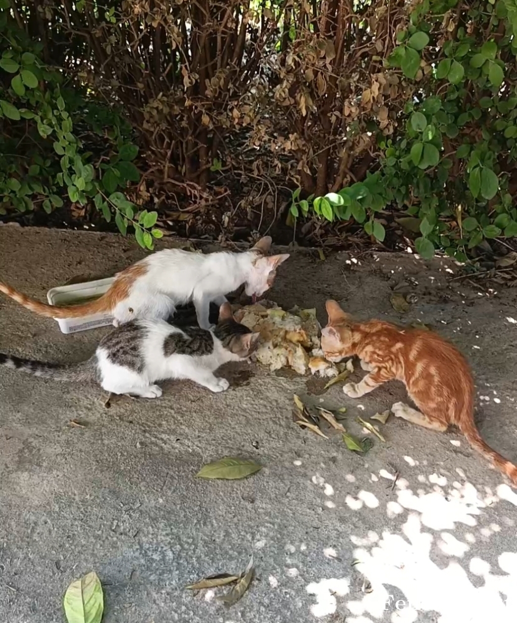 bbkhkn tarafından paylaşıldı