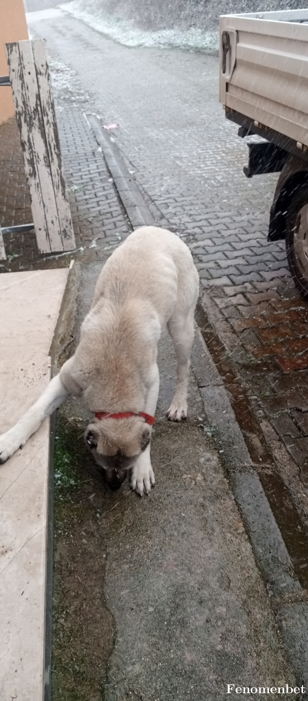 asolar4189 tarafından paylaşıldı