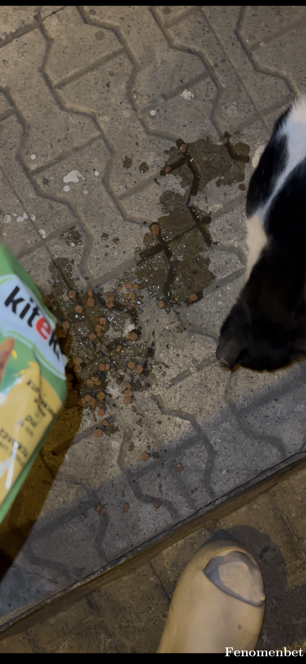 Aytensen tarafından paylaşıldı