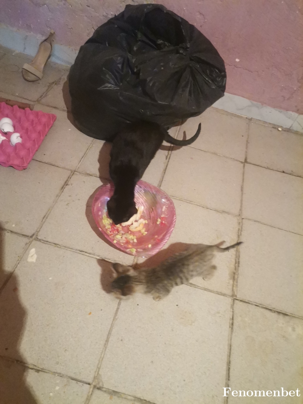 Seyfo90 tarafından paylaşıldı