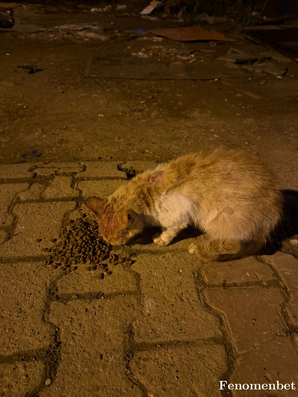 Aybul25 tarafından paylaşıldı