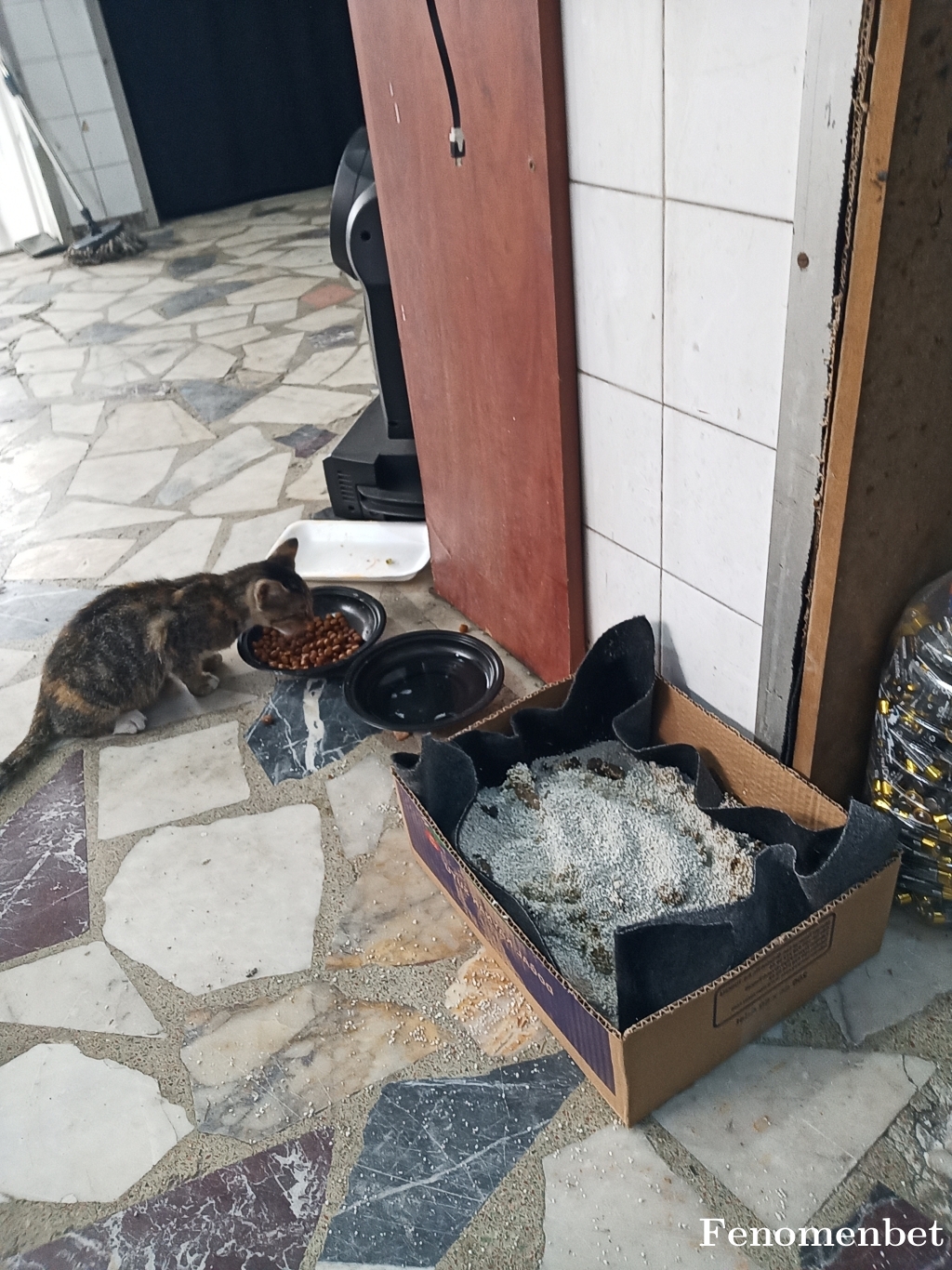 Okan1907588 tarafından paylaşıldı