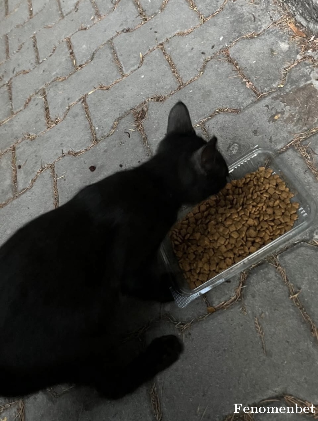 Selencey tarafından paylaşıldı