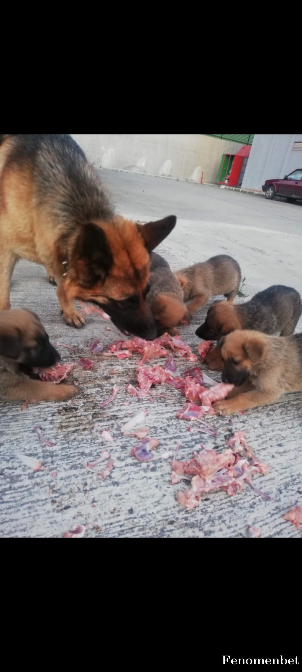 ifoo_99 tarafından paylaşıldı