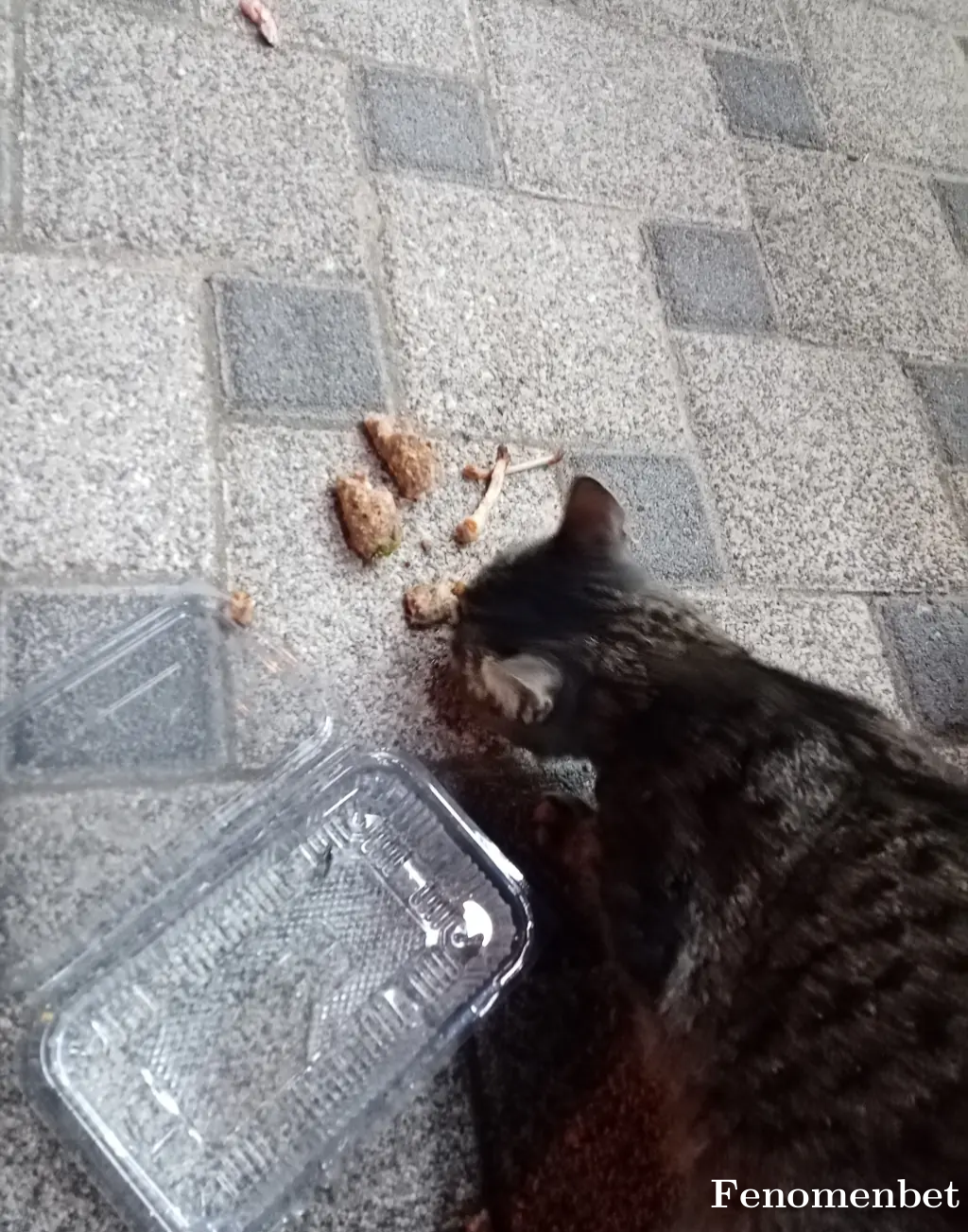 Stayhungry tarafından paylaşıldı