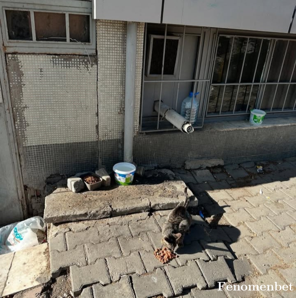 Kadiravr tarafından paylaşıldı