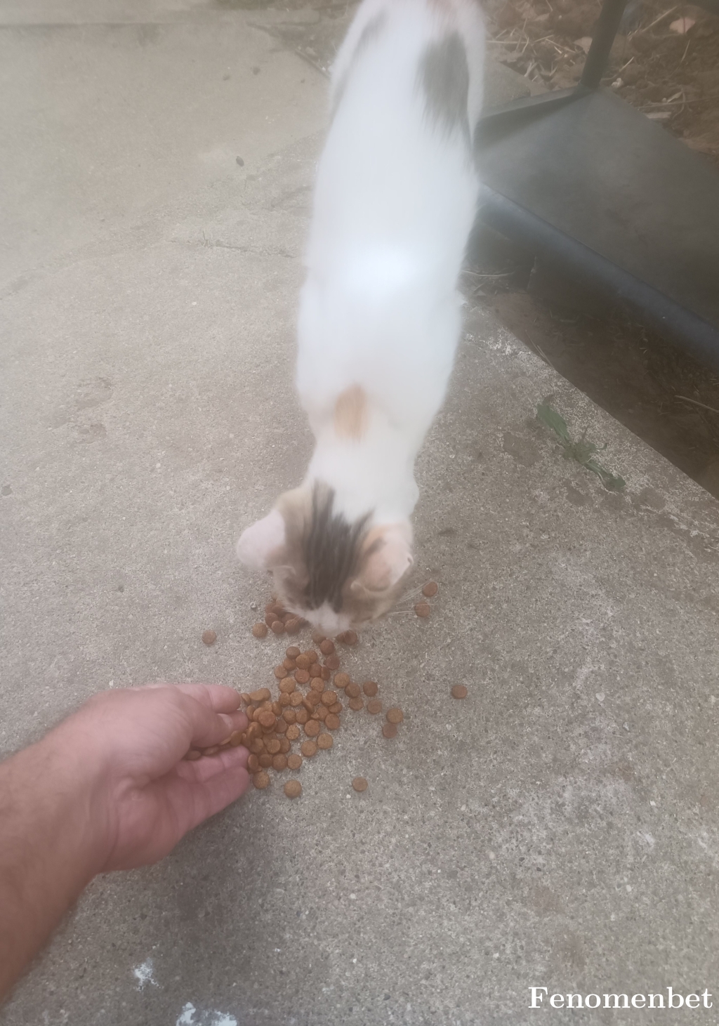 Angellostt tarafından paylaşıldı