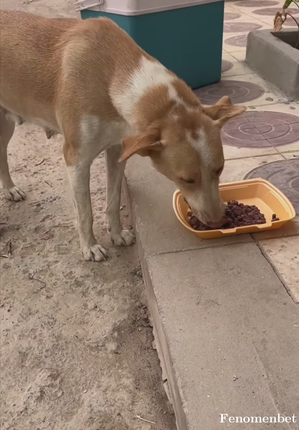 Ahmetkoc5834 tarafından paylaşıldı