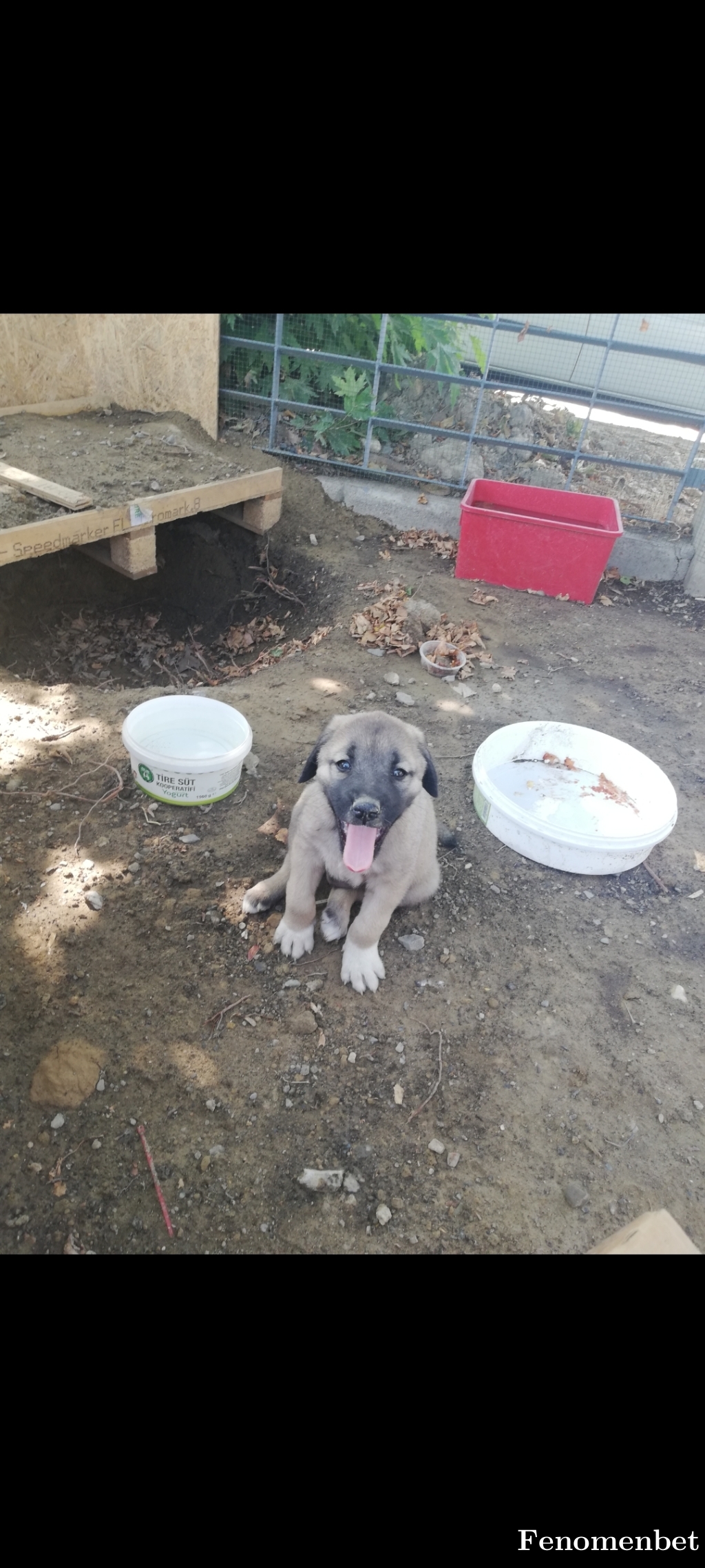 fivestar26 tarafından paylaşıldı