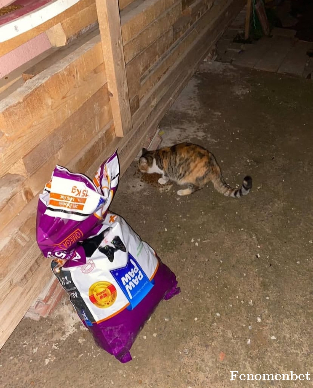 Ozcansla tarafından paylaşıldı