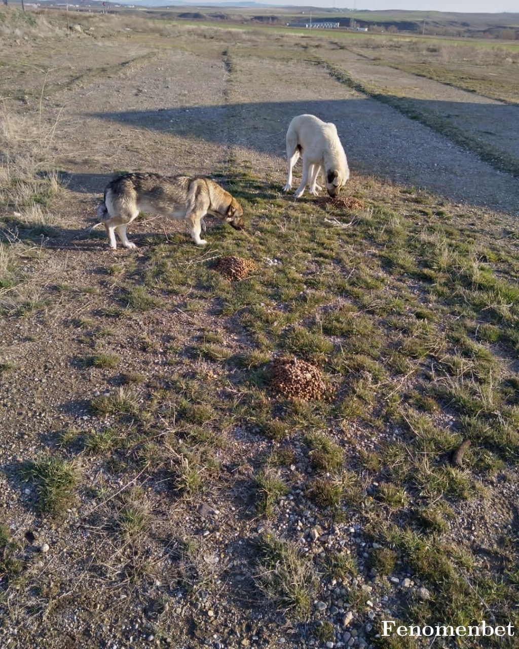 Akdasfurkan495 tarafından paylaşıldı