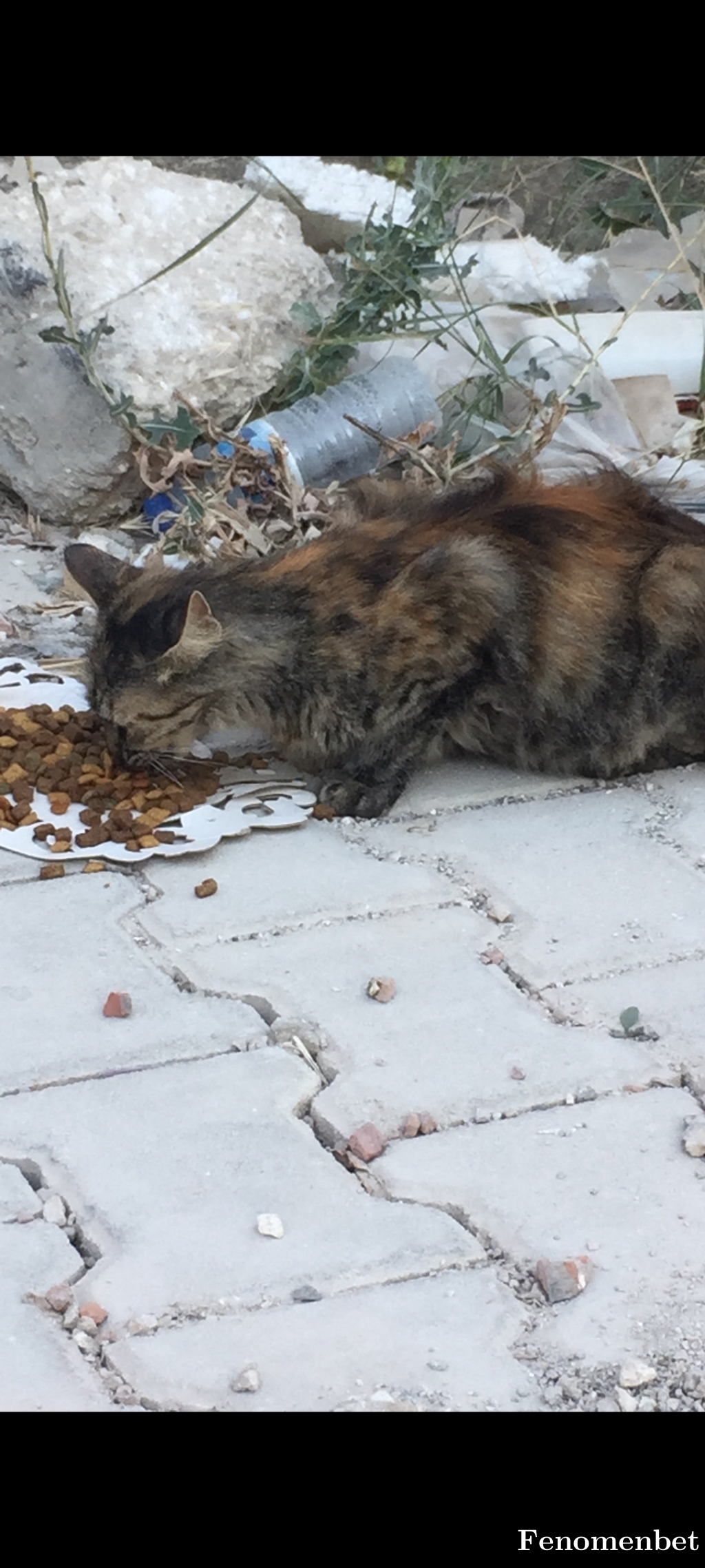 Xmucuk12 tarafından paylaşıldı