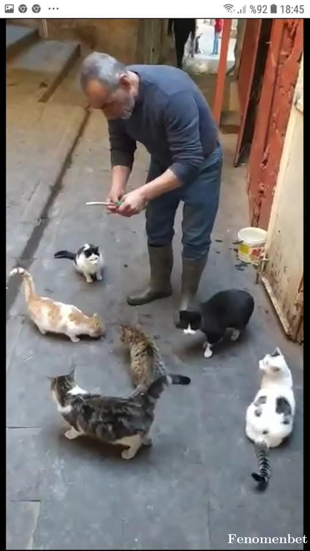 yahyakaptan tarafından paylaşıldı