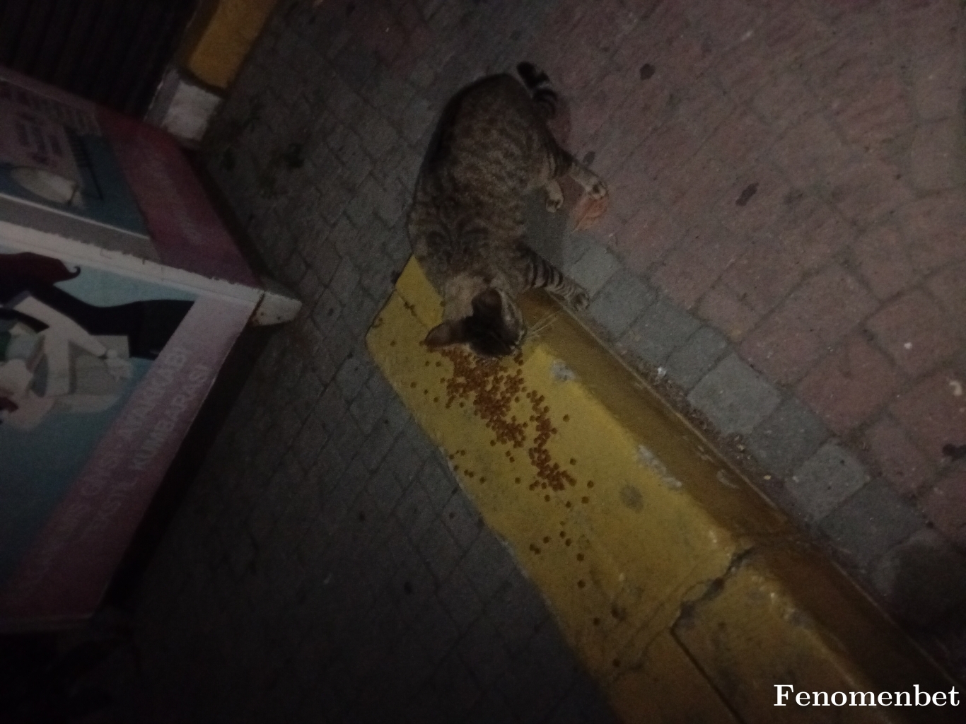 Haltanfidan tarafından paylaşıldı