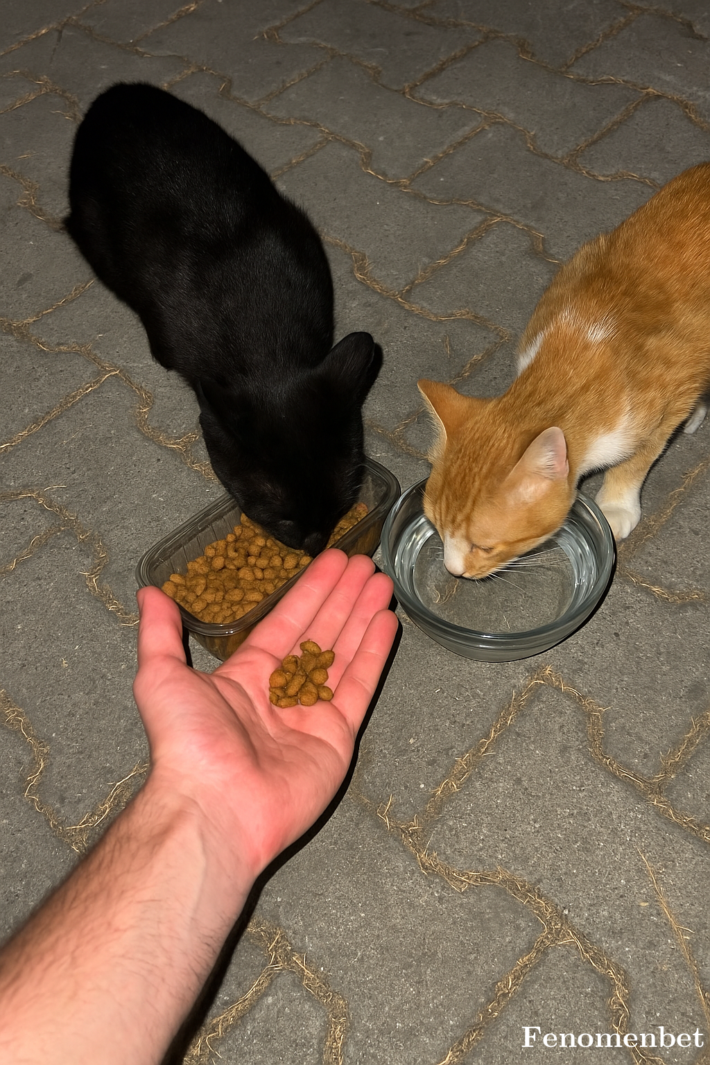 ayktekc tarafından paylaşıldı