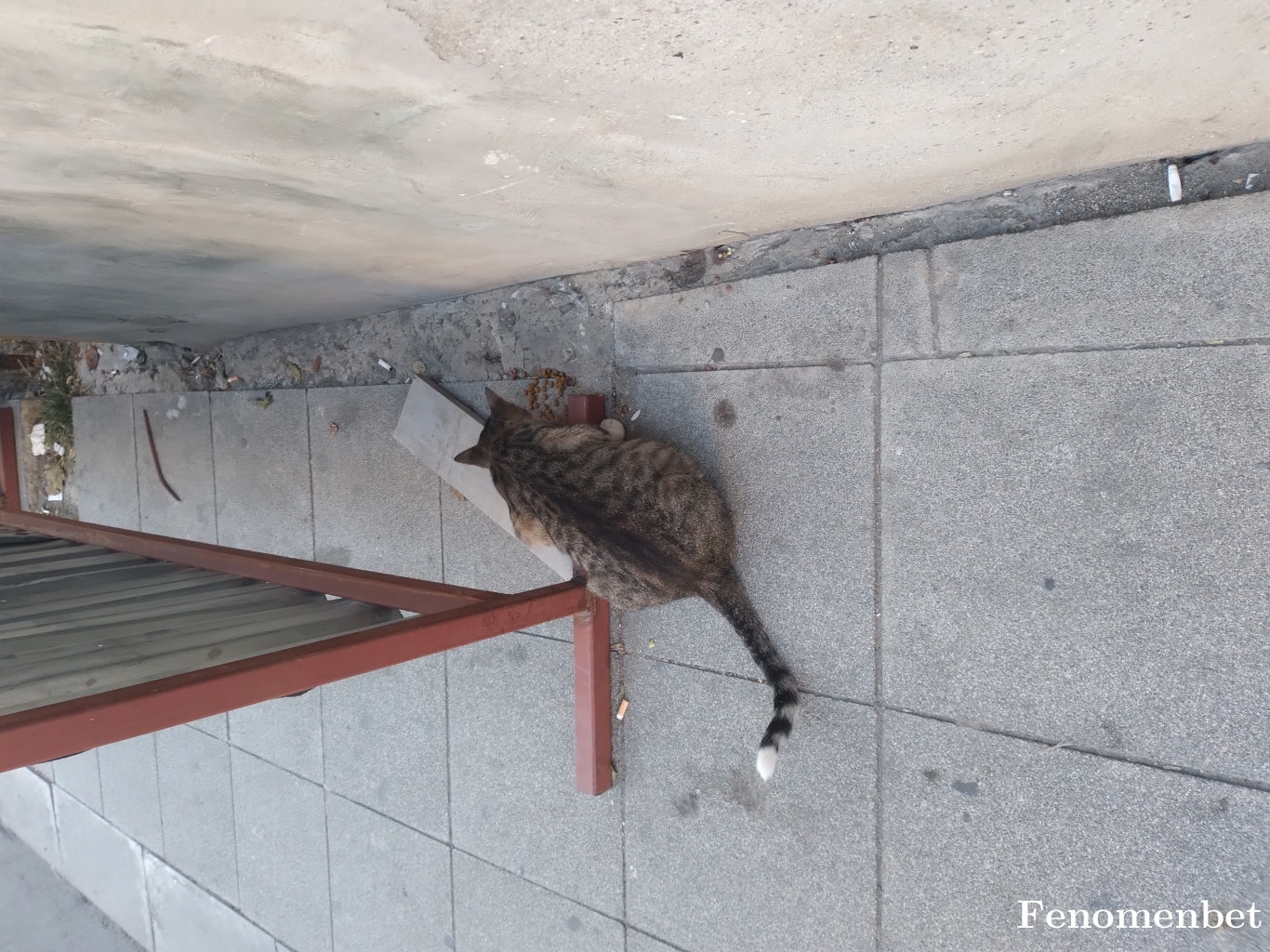 Canaslan509 tarafından paylaşıldı