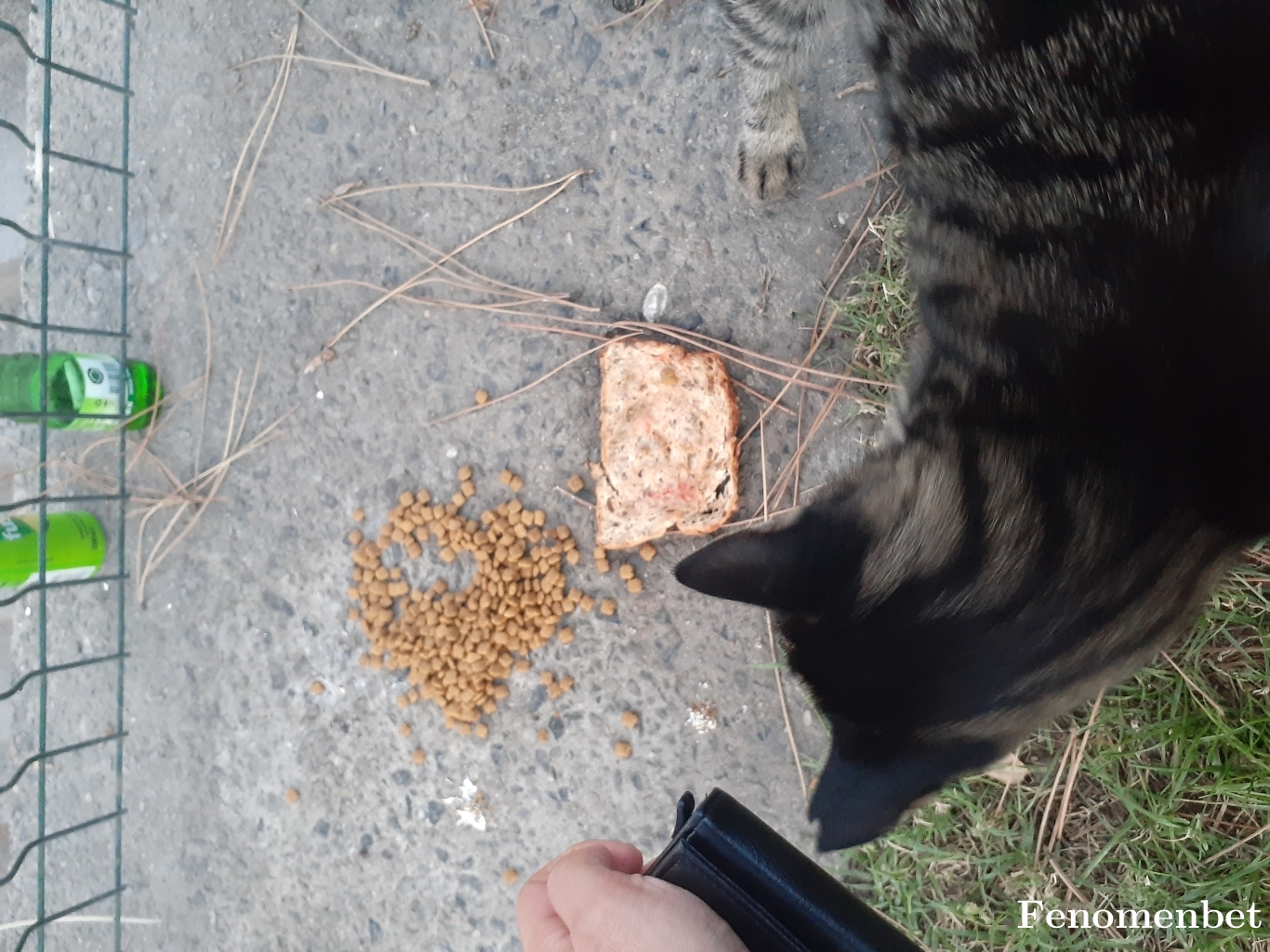 Ejdera34 tarafından paylaşıldı