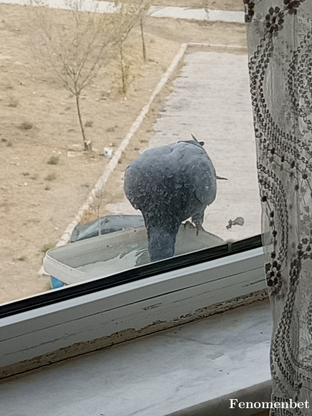 filiz2119 tarafından paylaşıldı