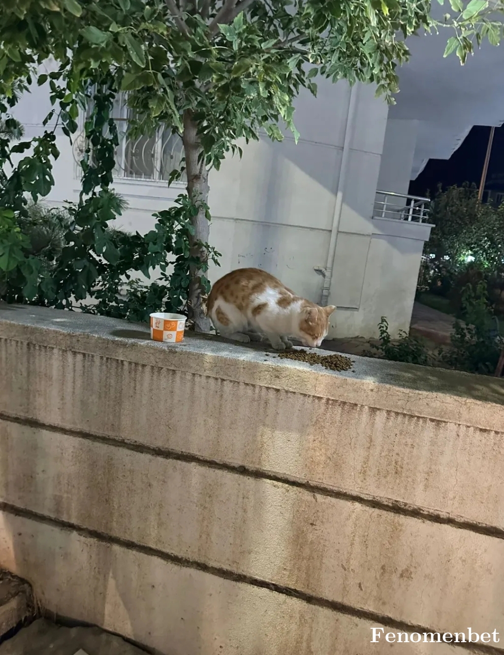 Cansu0061 tarafından paylaşıldı