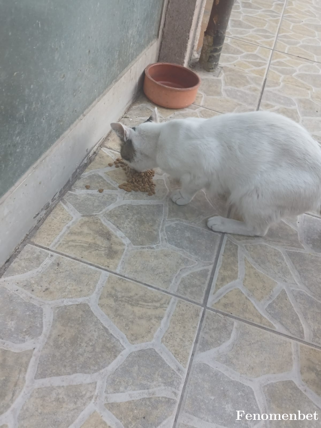 nocrynow tarafından paylaşıldı