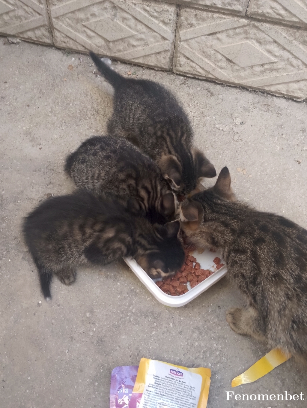 Deryaun71 tarafından paylaşıldı