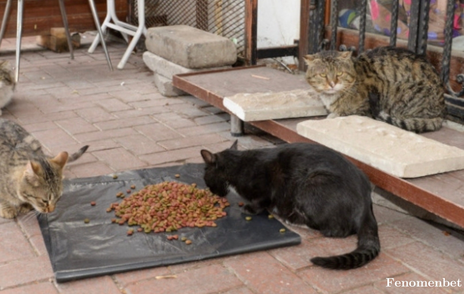 ortaksro tarafından paylaşıldı