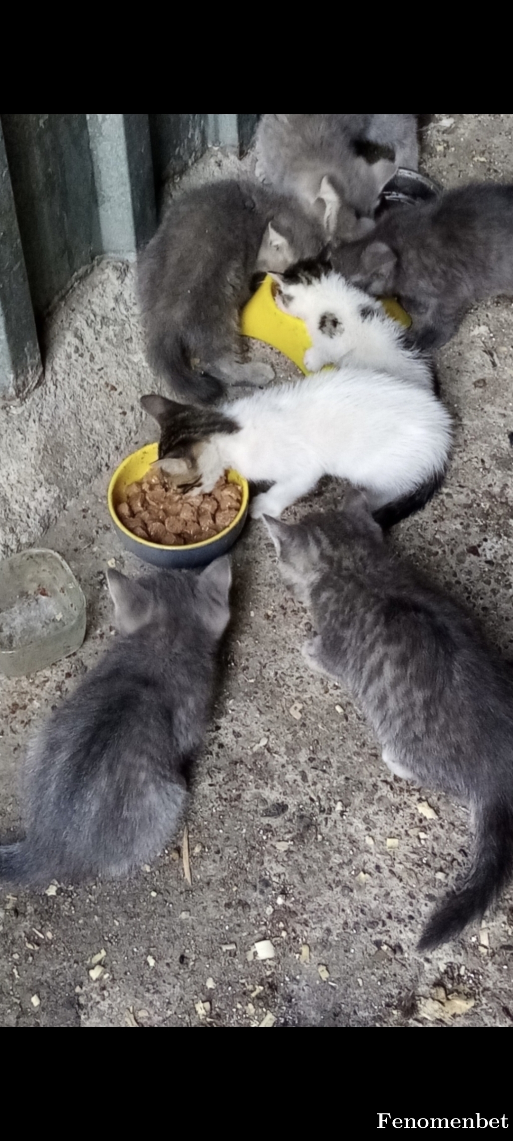 Kadir256997  tarafından paylaşıldı