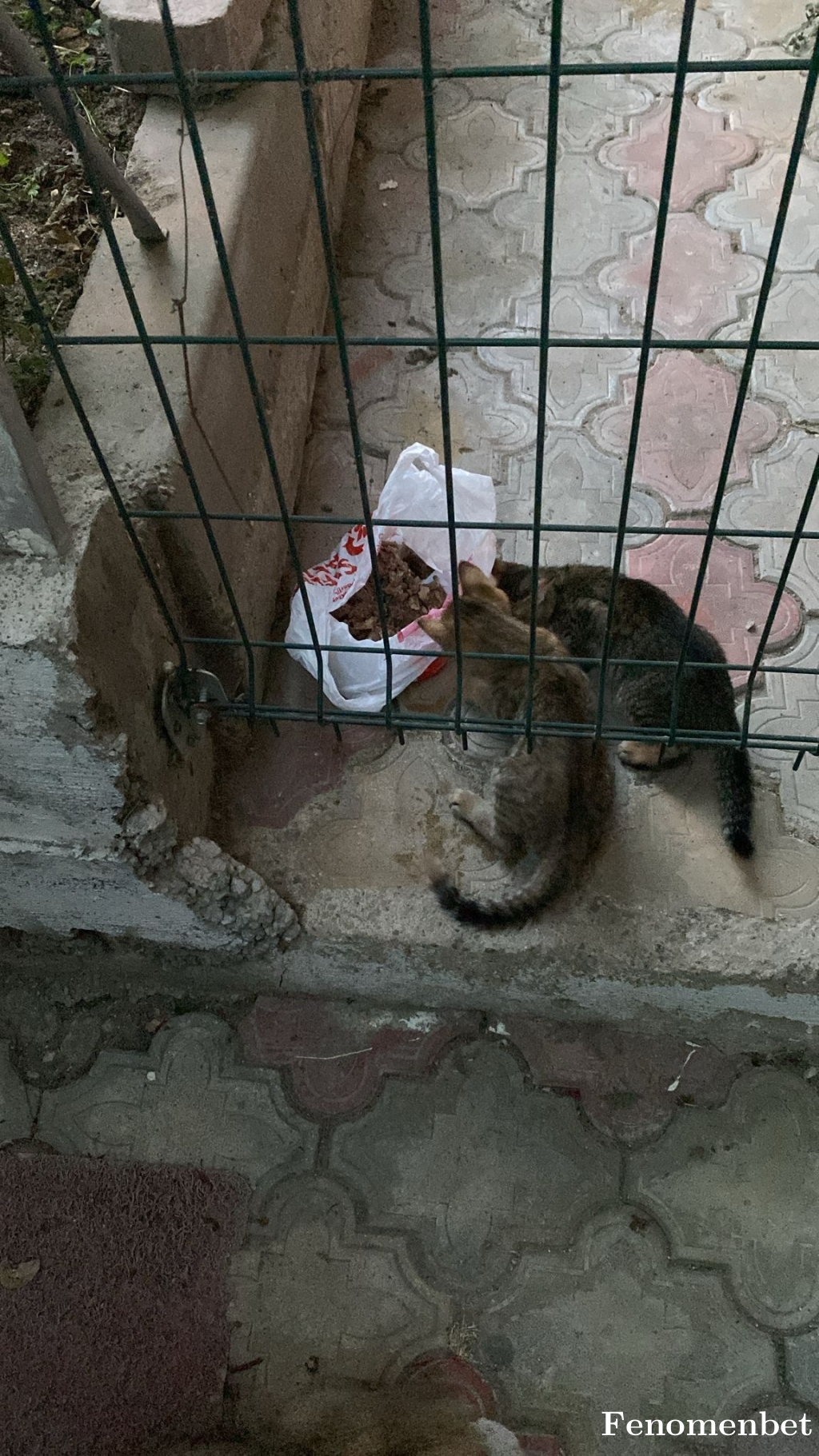 Naziravc0 tarafından paylaşıldı