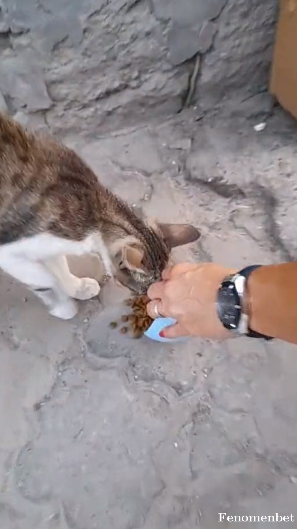 Gokcelim tarafından paylaşıldı