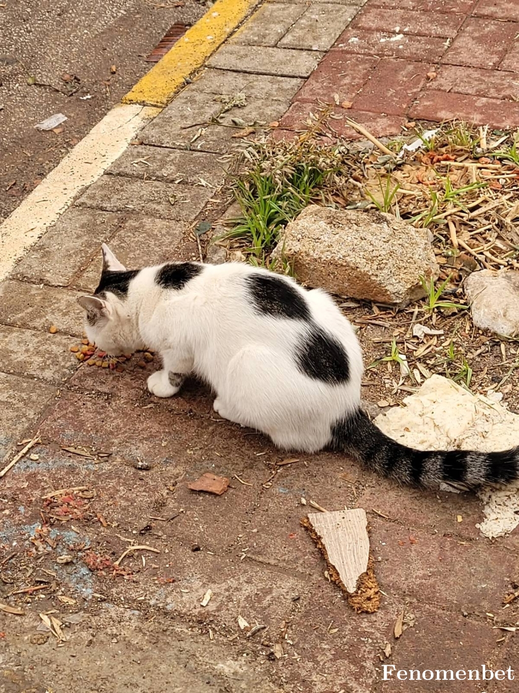 vale65 tarafından paylaşıldı