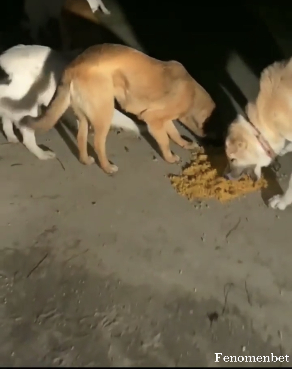 Gunaytopal tarafından paylaşıldı