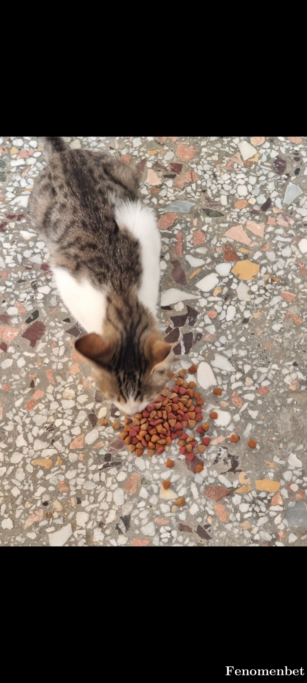 Meralgenc tarafından paylaşıldı