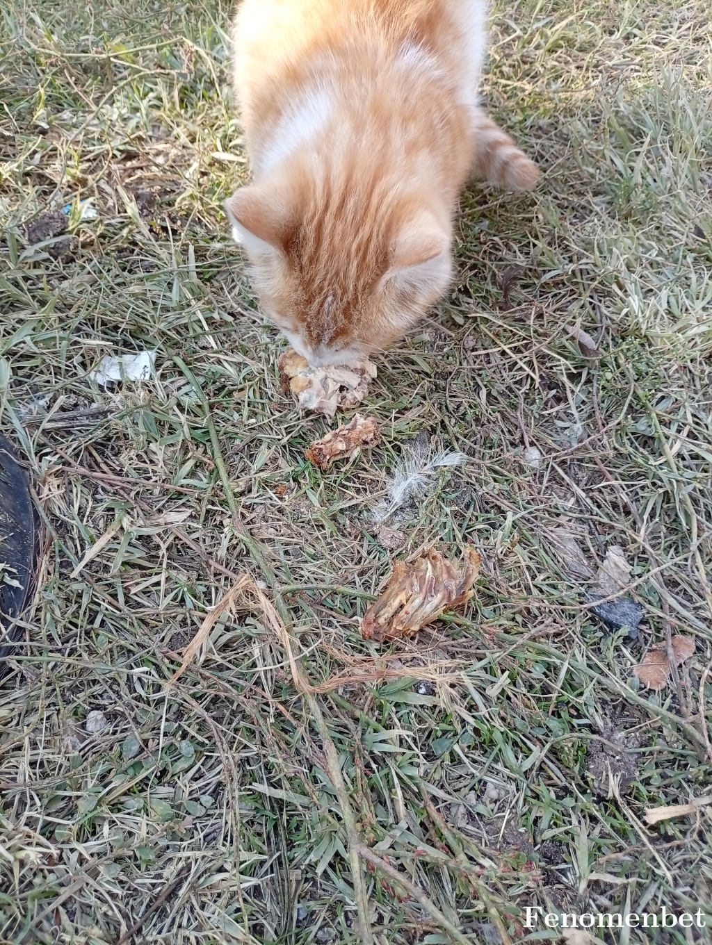 Haktano65 tarafından paylaşıldı