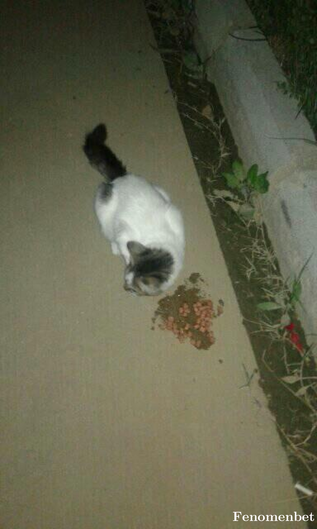 Ruhi05 tarafından paylaşıldı