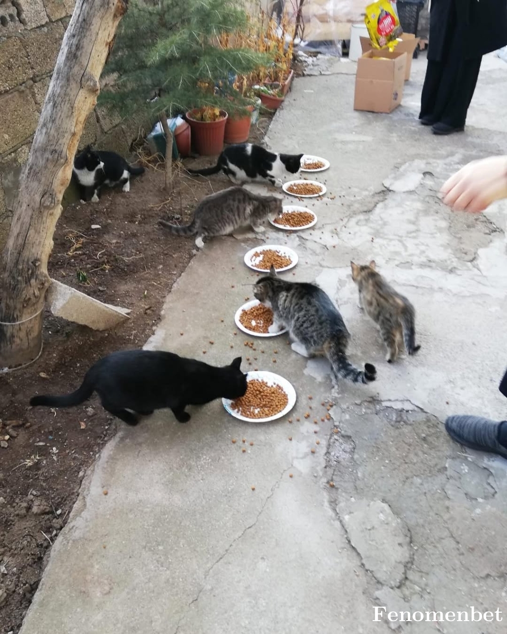 Mhmtcns34 tarafından paylaşıldı