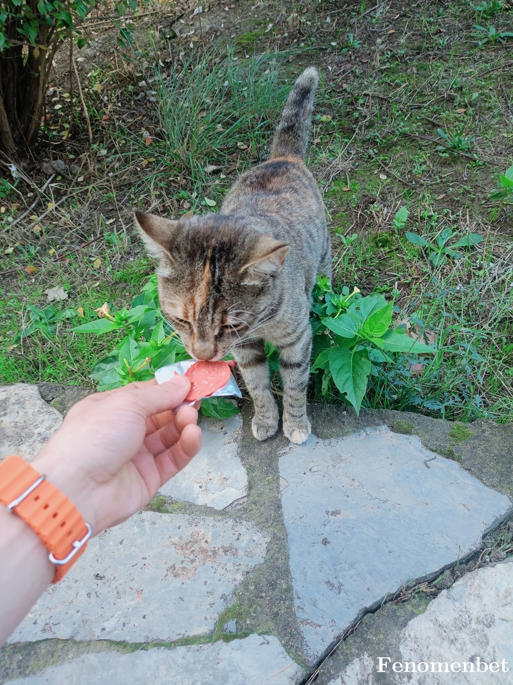 Mecitcan tarafından paylaşıldı