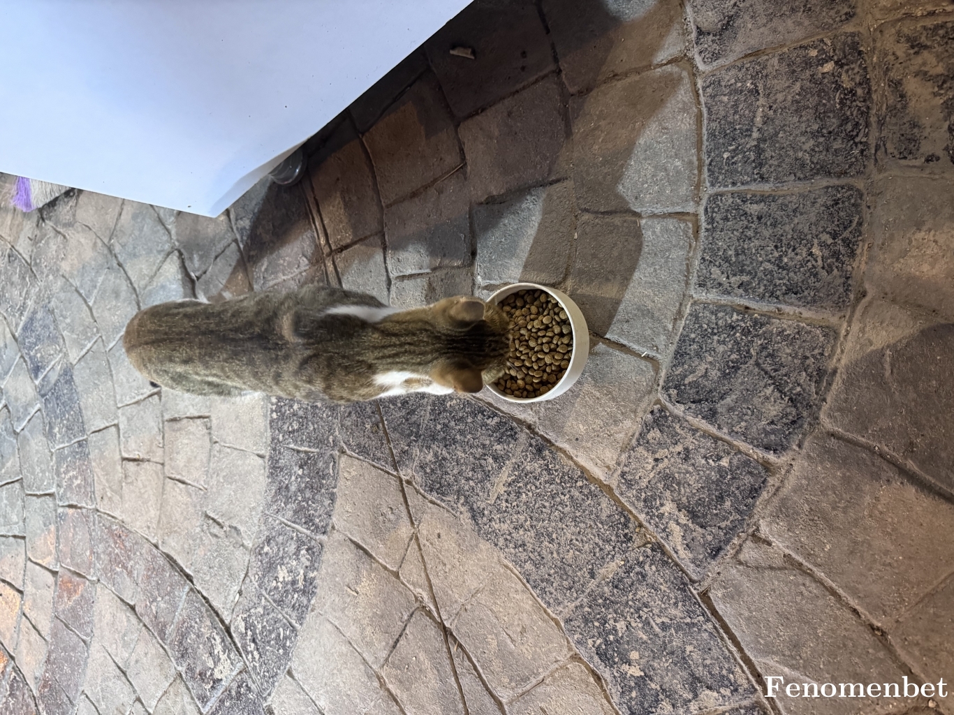 yamaminaptin tarafından paylaşıldı