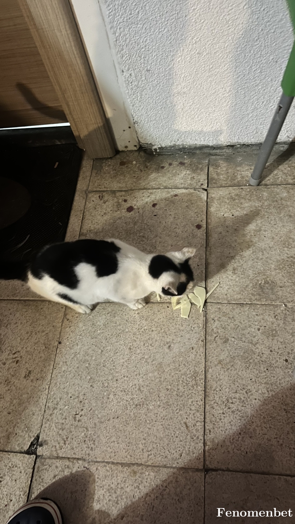 Kblytrm  tarafından paylaşıldı