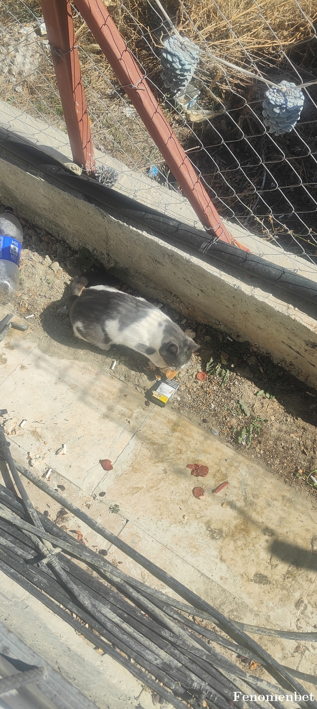 Huva0770 tarafından paylaşıldı