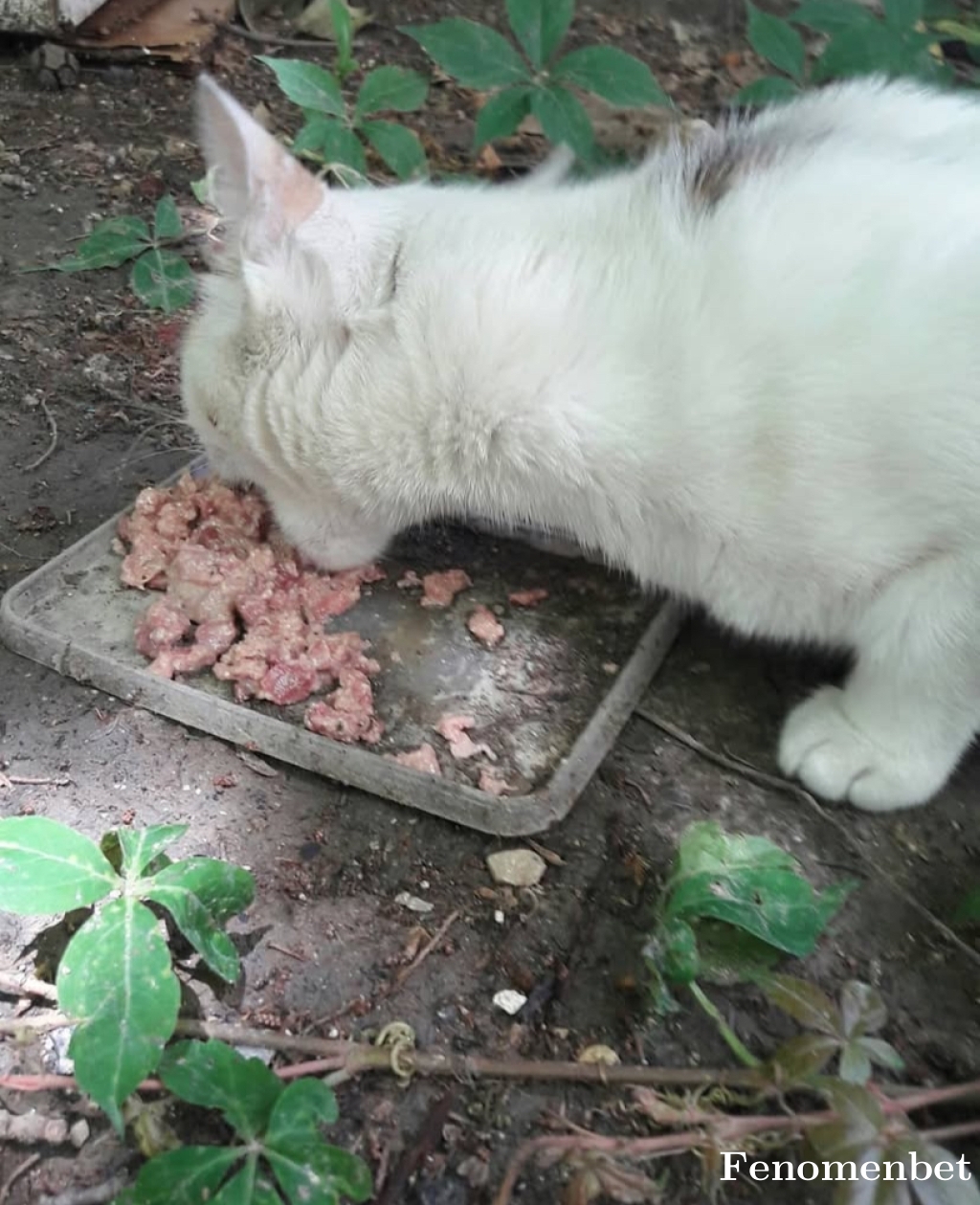 1988gizem tarafından paylaşıldı