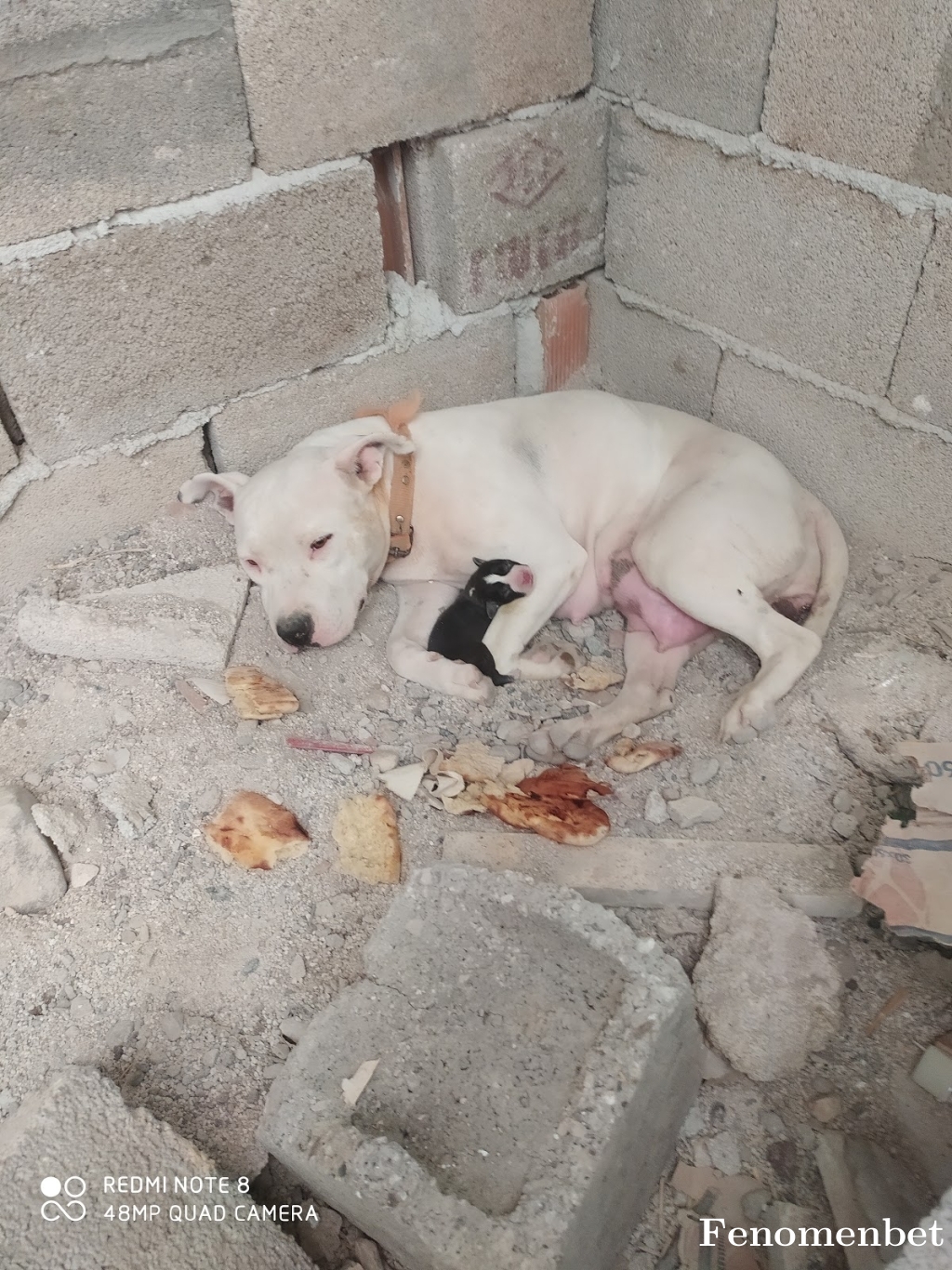 Adanaliozi tarafından paylaşıldı