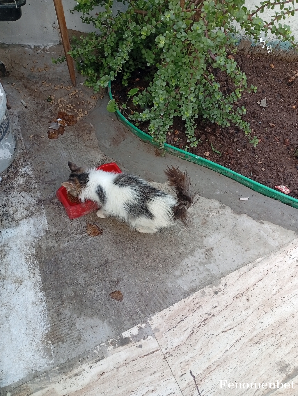 Snr123 tarafından paylaşıldı