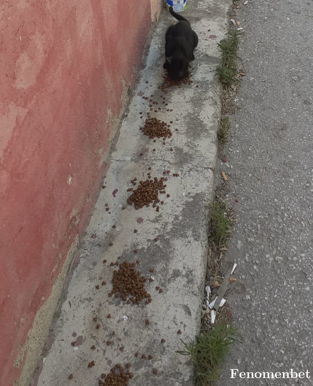 Prenses5 tarafından paylaşıldı