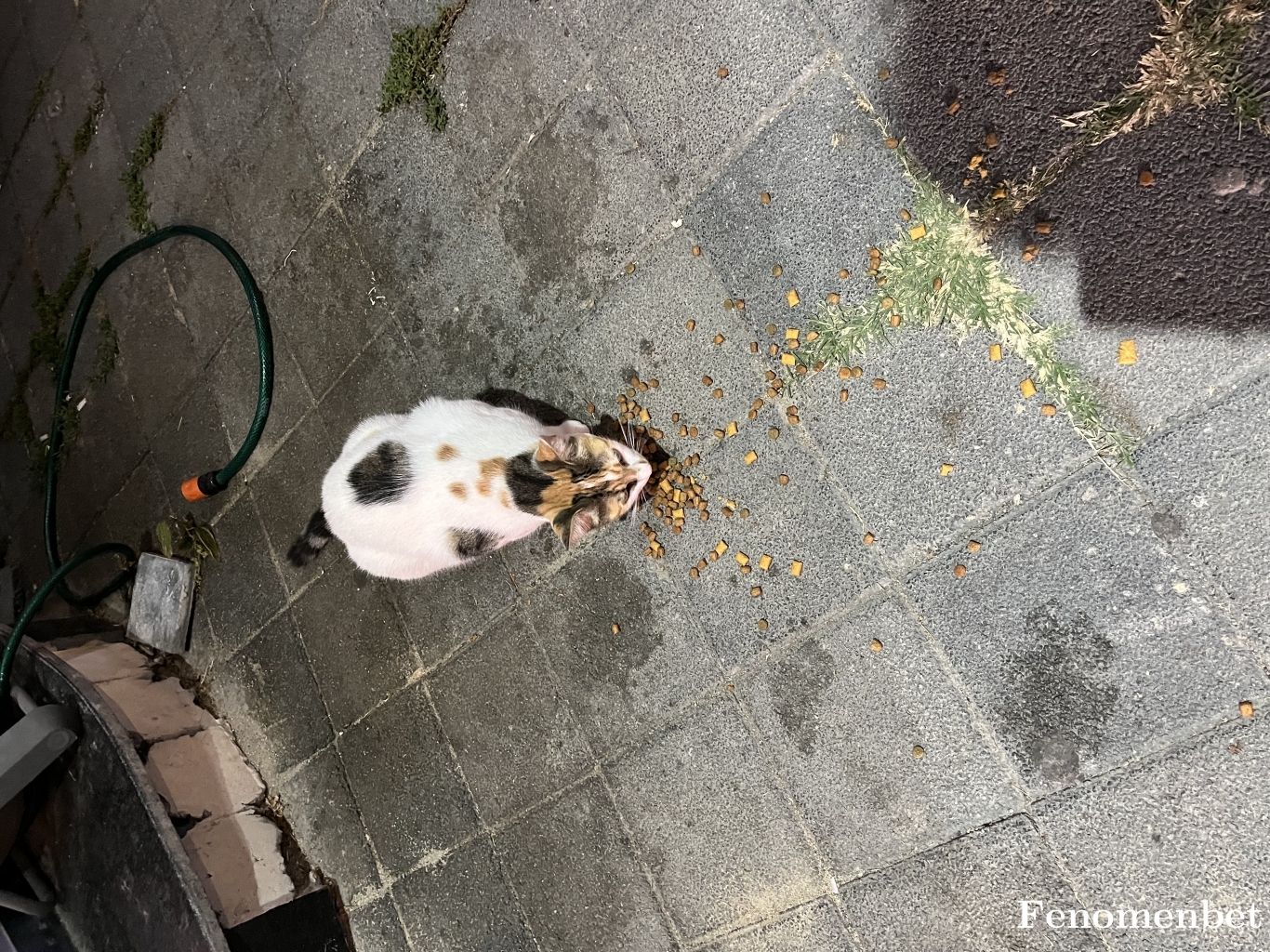 burakemreyes tarafından paylaşıldı