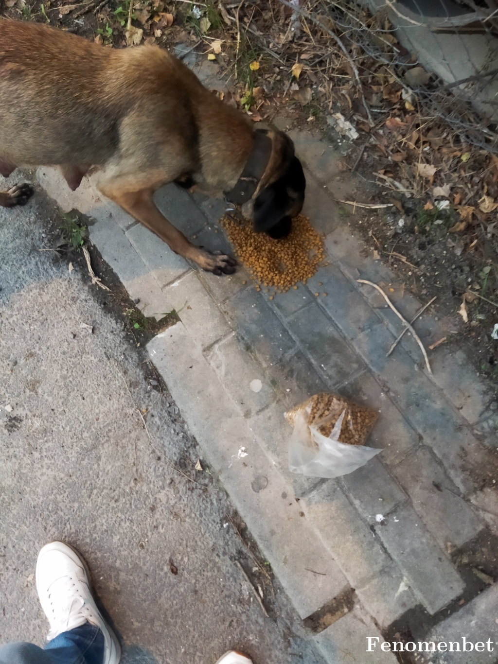 BlackWhite tarafından paylaşıldı