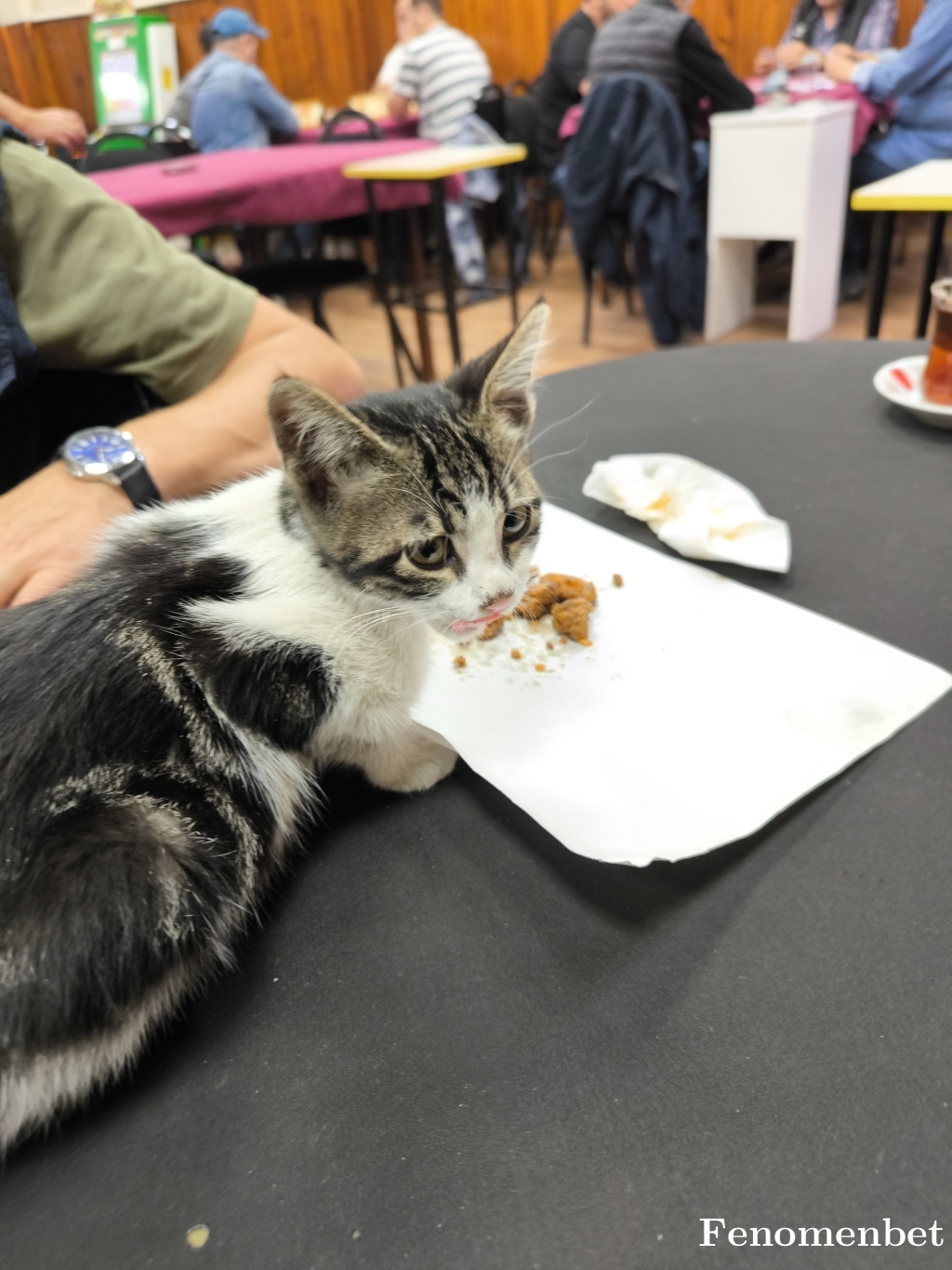 Platanusmex tarafından paylaşıldı