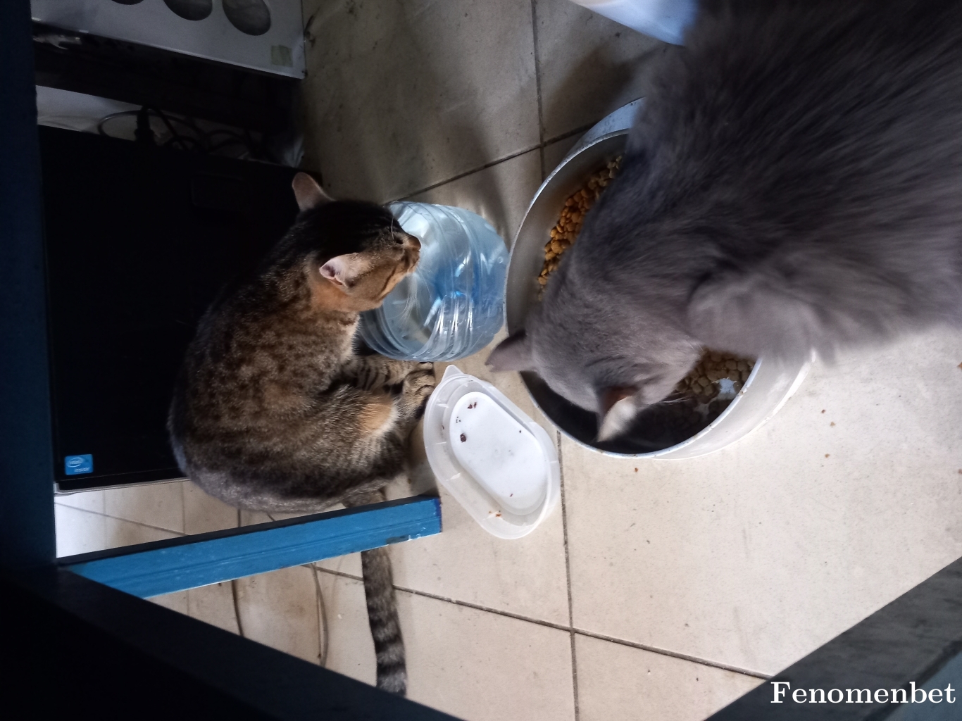 Batrobel tarafından paylaşıldı